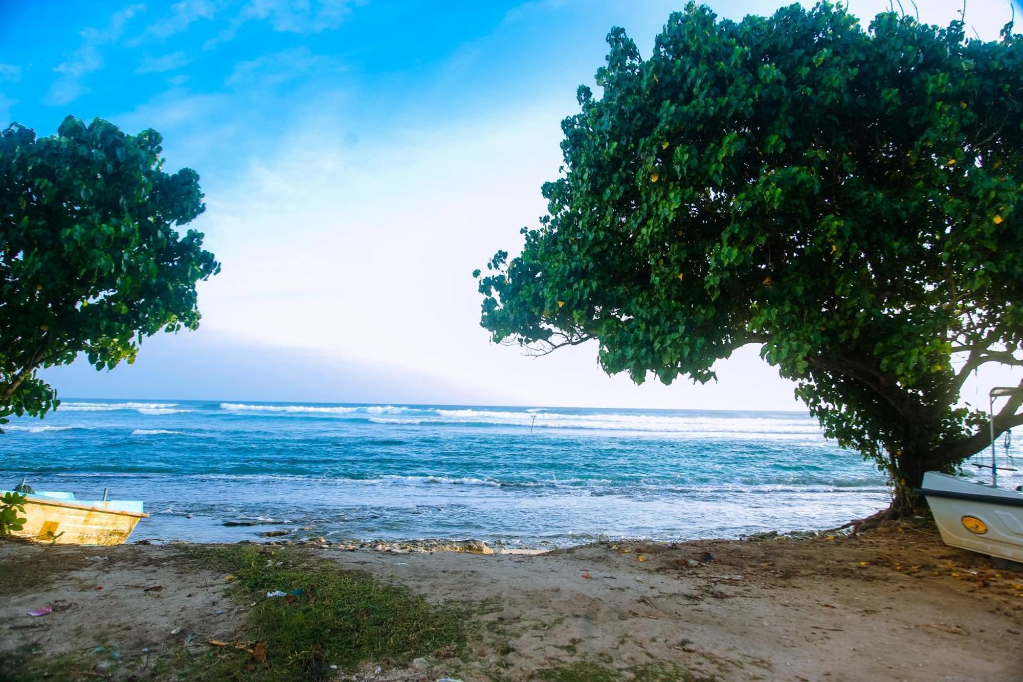 Mirissa Turtle Point Guest Hotel Bagian luar foto