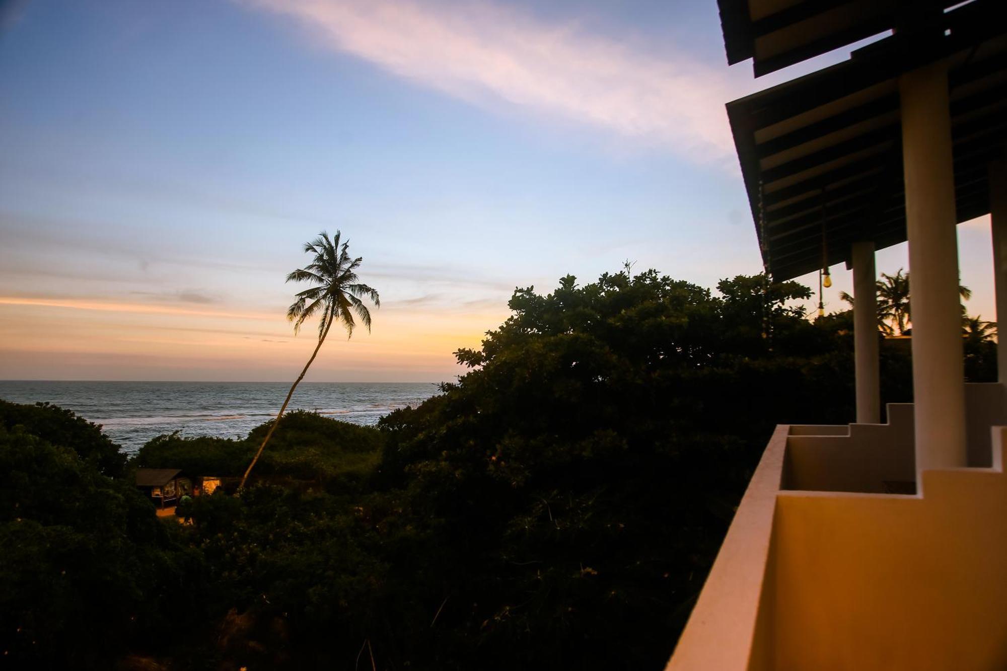 Mirissa Turtle Point Guest Hotel Bagian luar foto